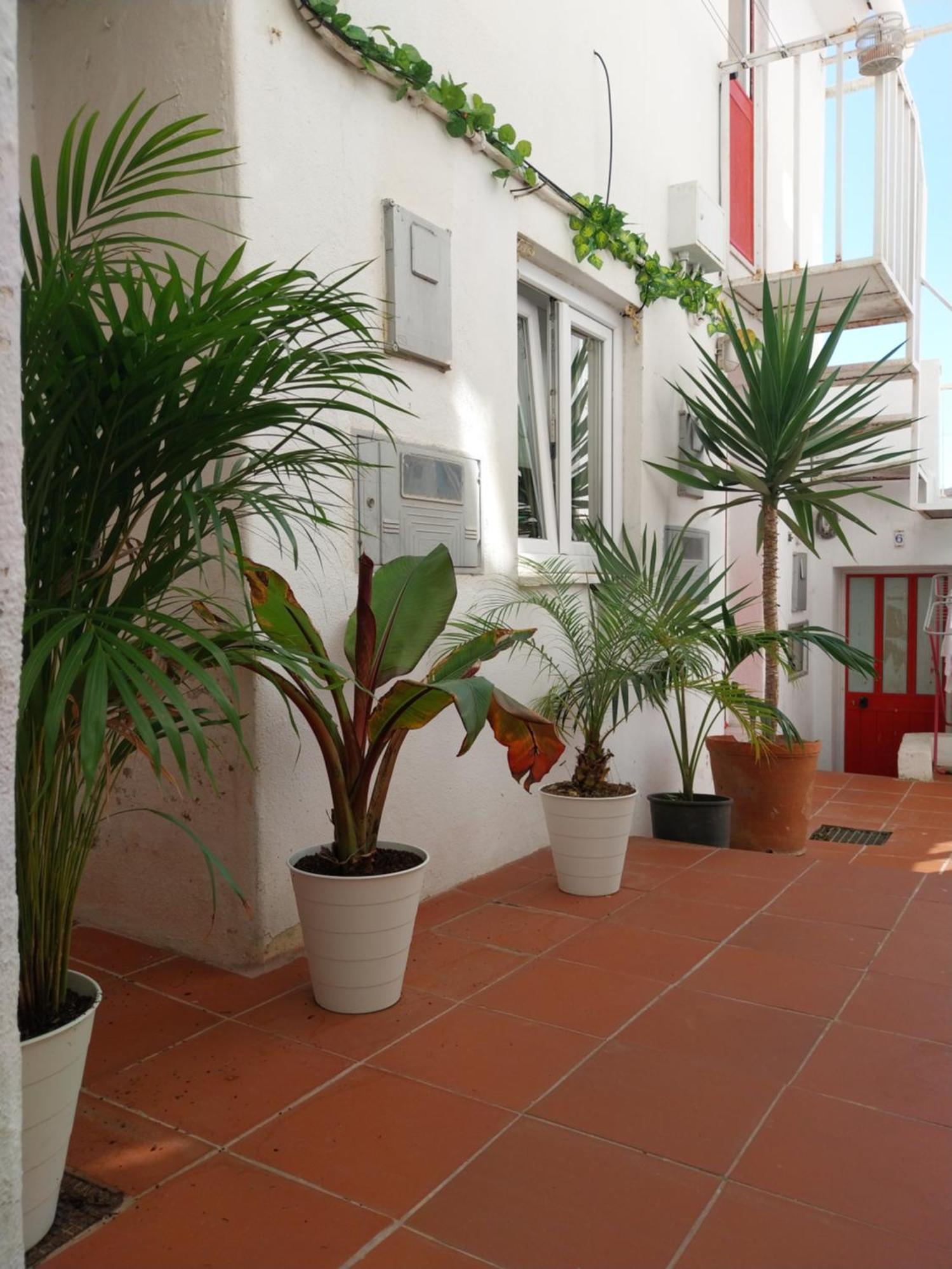 Vila Das Olarias - Mini Studios Лиссабон Экстерьер фото